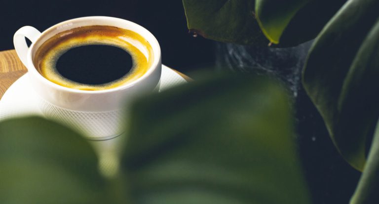 Coffee Cupping